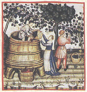 vinatera 2 vino_theatrum Sanitatis_italia_1400 vinatera 2 vino_theatrum Sanitatis_italia_1400.jpg